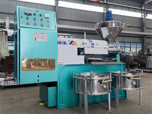 Machine de fabrication d’huile d’arachide de diverses graines, huile de presse à froid